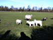 Hurst, Berkshire
